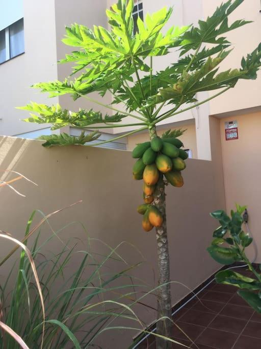 Independiente Estudio En Acogedora Casita De Mai Costa Adeje  Bagian luar foto