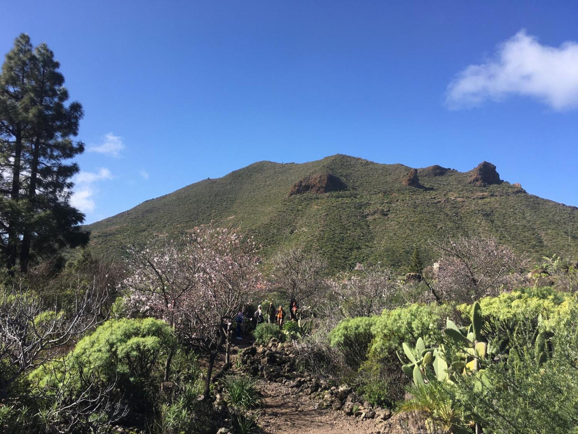 Independiente Estudio En Acogedora Casita De Mai Costa Adeje  Bagian luar foto
